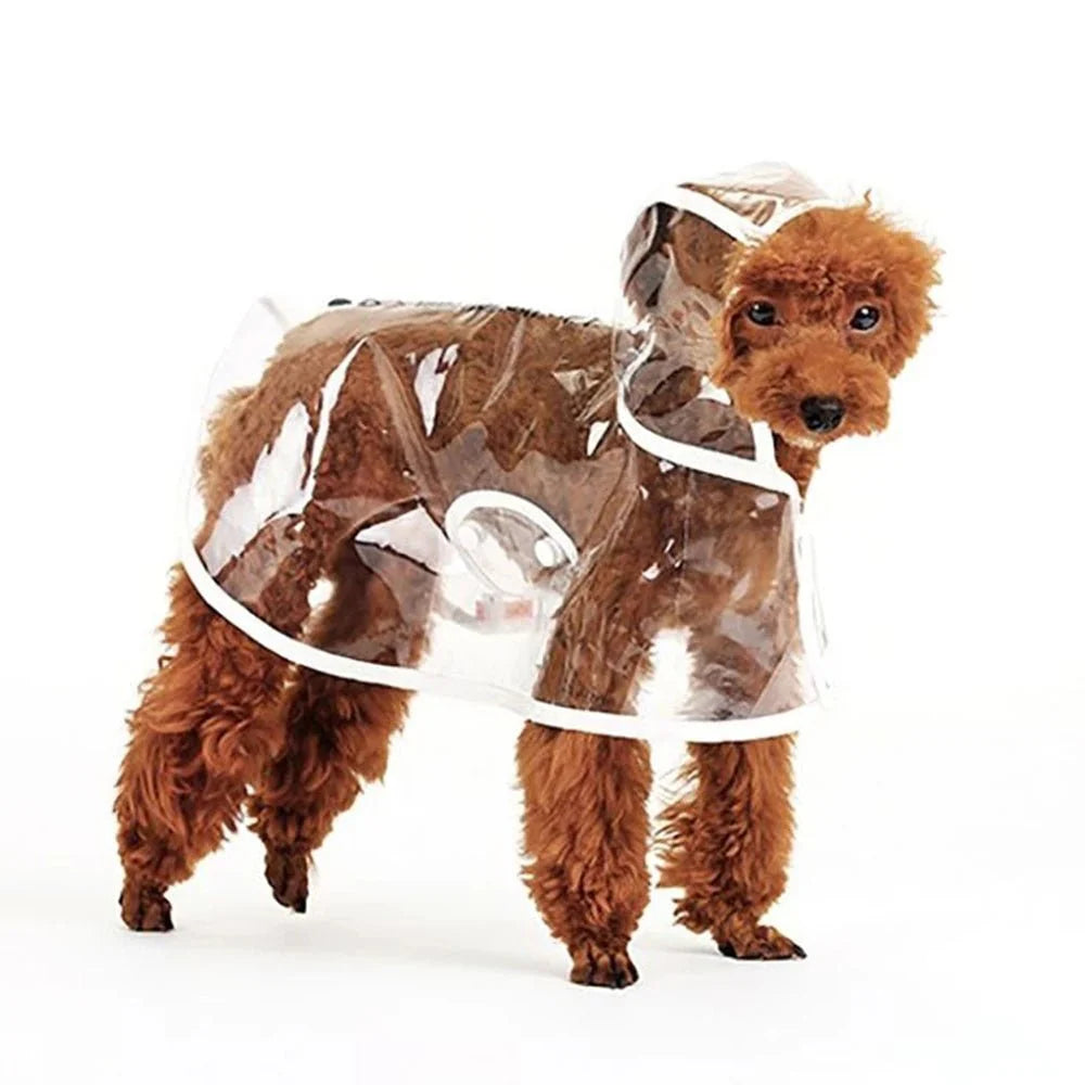 Transparent Raincoat for Small and Medium Dogs