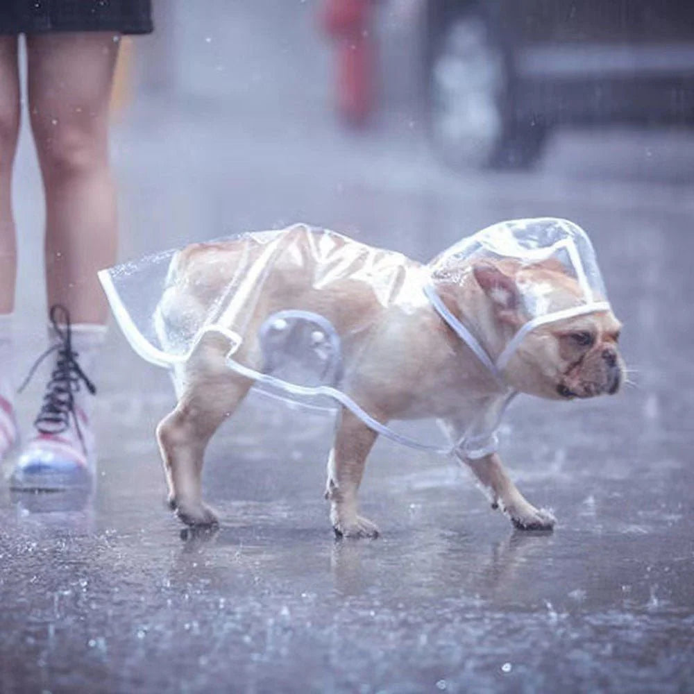 Transparent Raincoat for Small and Medium Dogs