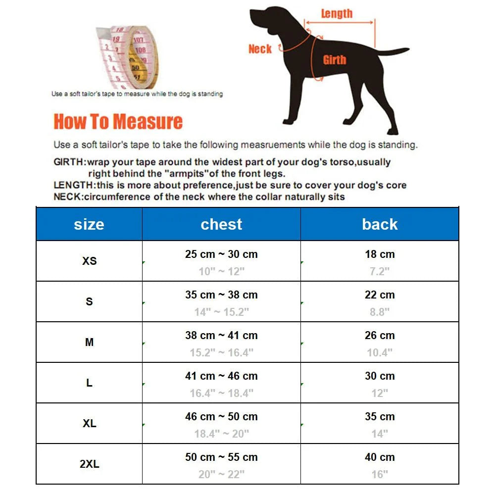 Transparent Raincoat for Small and Medium Dogs