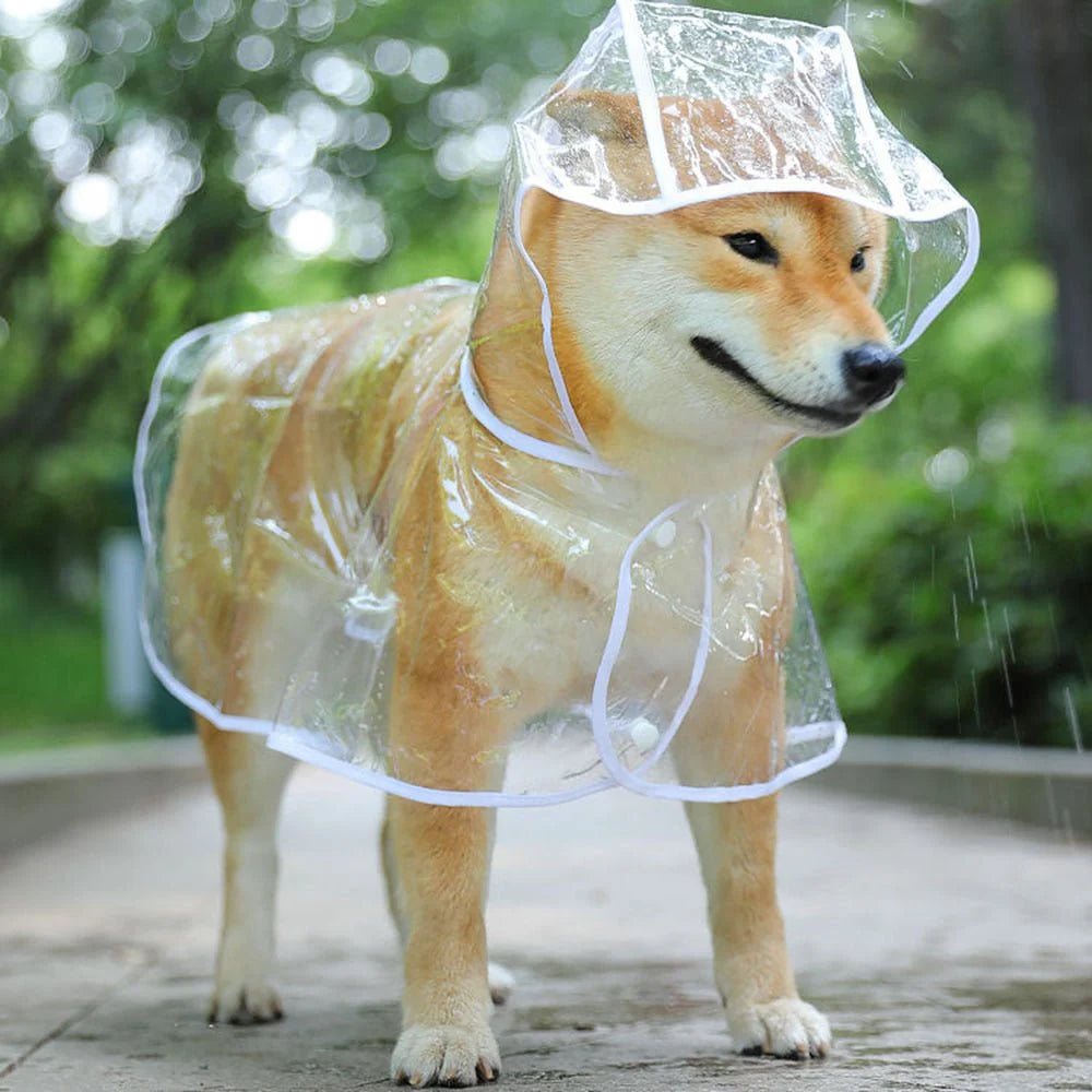 Transparent Raincoat for Small and Medium Dogs